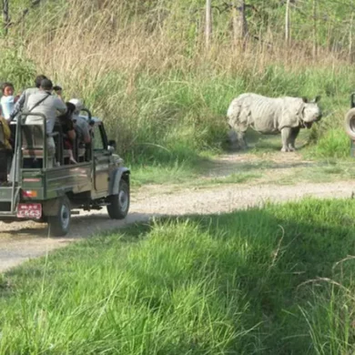 Chitwan Jeep Tour