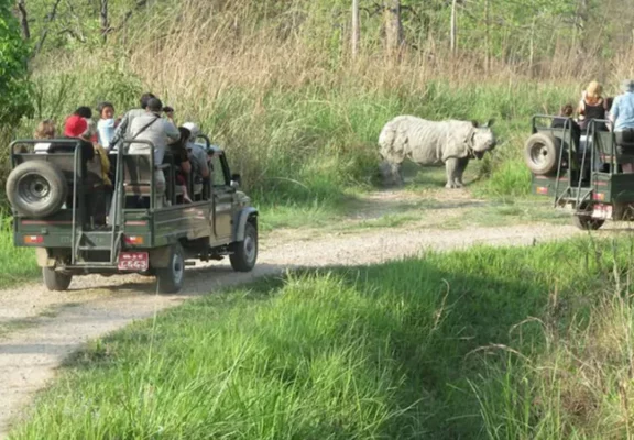 Chitwan Jeep Tour
