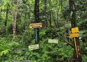 shivapuri-nagarjun-nationalpark-entry-point