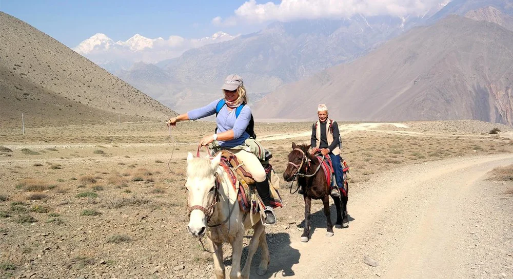 Horseback Riding Mountain Horse Beyond The Ride Horse Riding In
